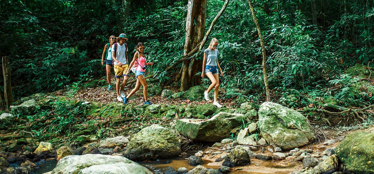 Trekking dans le Parc national de Khao Yai