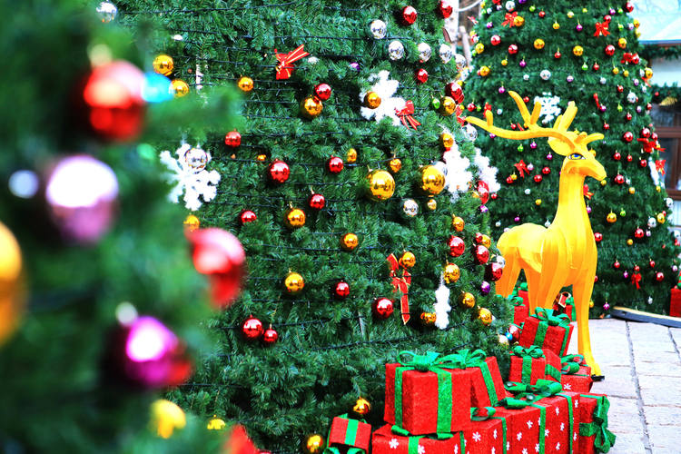 Décorations pour la fête de Noël