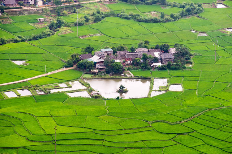 Paysages à Mai Chau