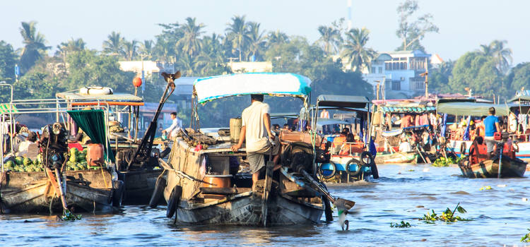 Marché flottant du delta du Mékong Vietnam