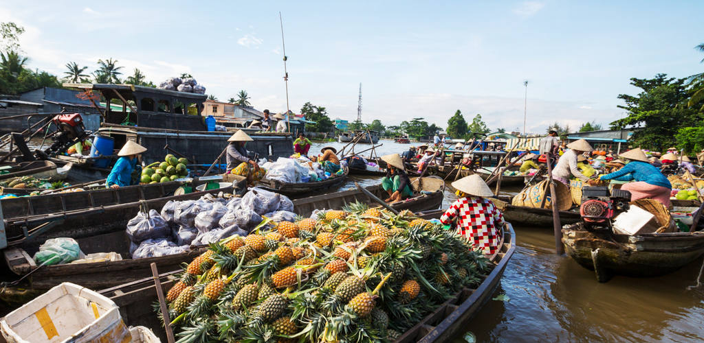 Le delta du Mékong au Vietnam