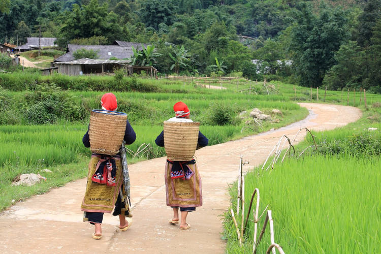 Villages Hmongs à Sapa