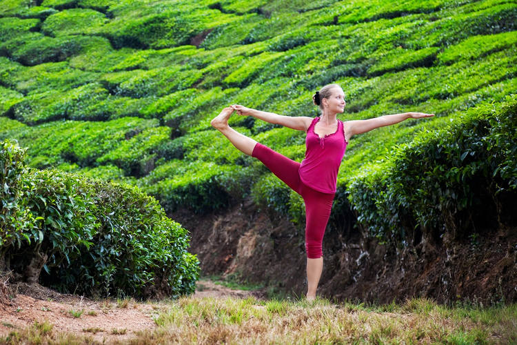 Pratiquez le Yoga dans la plantation de thé au Kerala