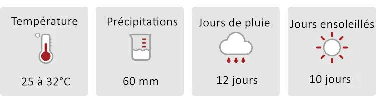 Météo en Thaïlande en janvier