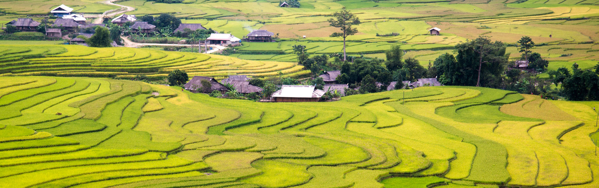 Vue sur les rizières et le village à Mai Chau