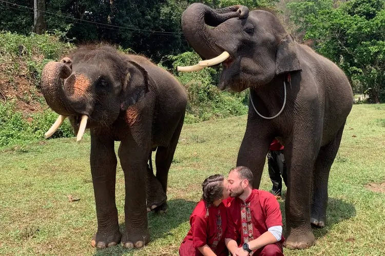 Expériences de s'approcher des éléphants dans le Jungle sanctuaure à Chiang Mai