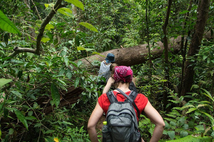 Faites des randonnées dans le Jungle en Thaïlande en famille