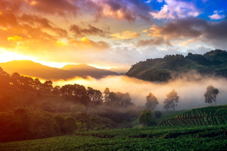 Paysages à Chiang Mai