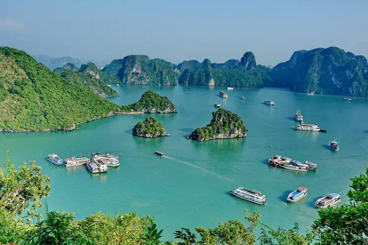 Paysages à la Baie d'Halong avec des bateaux de croisière