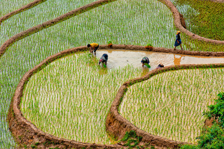 Vietnam