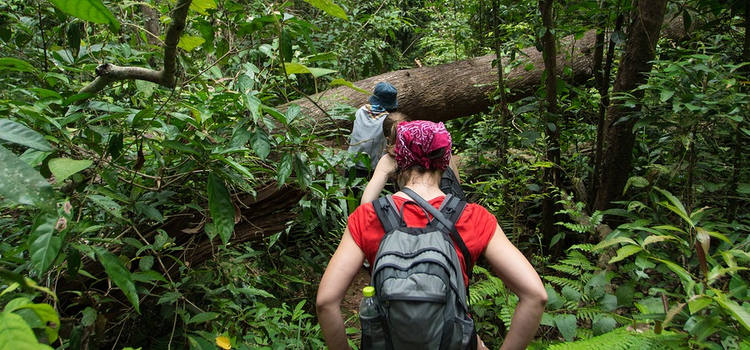 Trekking dans le Parc national de Khao Yai