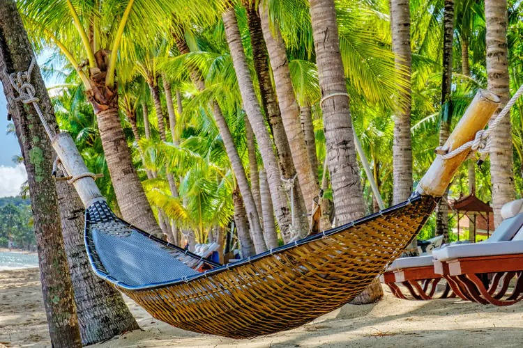 Profitez de la plage à Koh Samui